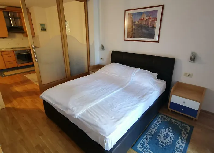 Apartment Brinovec